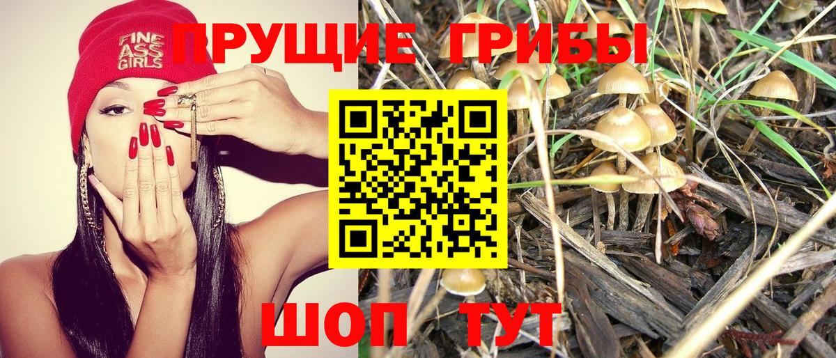 Корсаков  Галлюциногенные грибы мухоморы  Вход с VPN 