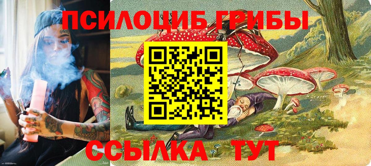Псилоцибиновые грибы Psilocybe Корсаков
